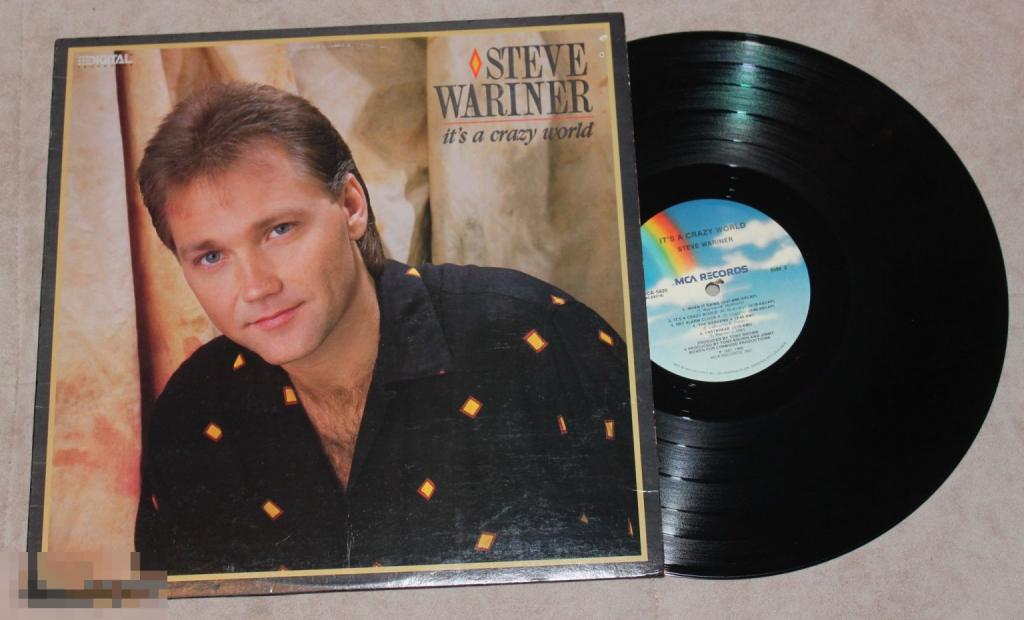 Steve Wariner - It's A Crazy World - 87 - USA PRESS - LP