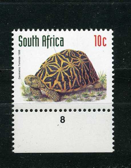 Южная Африка. ЮАР. Геометрическая черепаха. Животные Африки. 1993.**