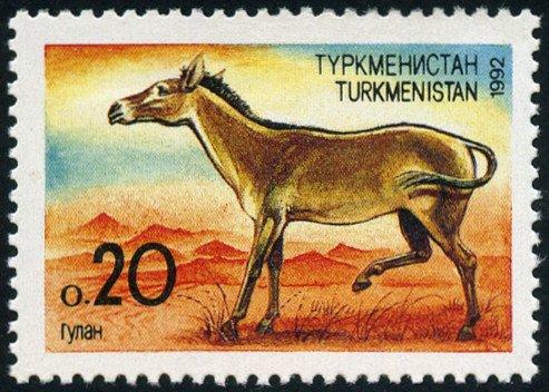 Туркменистан 1992 г.  Туркменский кулан (Equus hemionus kulan) Mi TM 2   ЧБН  чист.