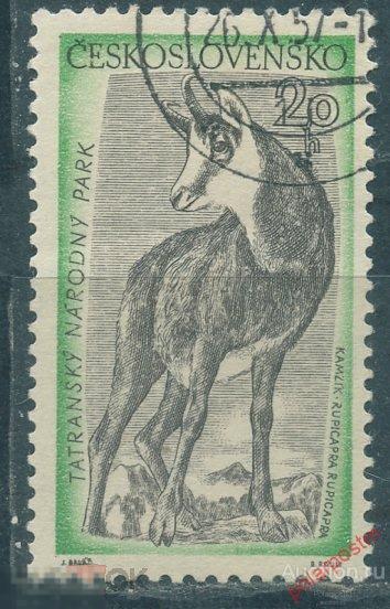 L55 ЧЕХОСЛОВАКИЯ (ЧССР) 1957 1035 Флора Фауна. Национальный парк Татры Олени