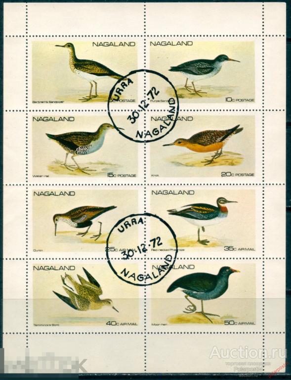 BYZ Нагаленд (Индия) 1972 NIN000 (фантастический выпуск) Птицы, фауна,