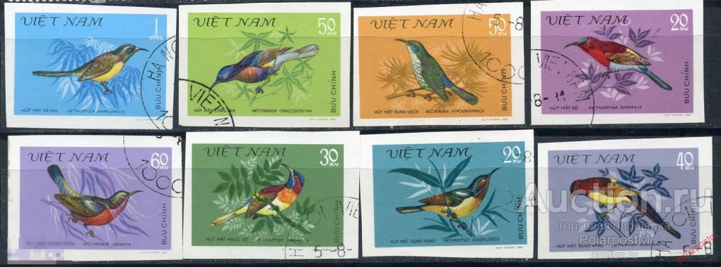 Н15 ВЬЕТНАМ 1981 1171u-1178u Птицы - солнечные птицы. Фауна