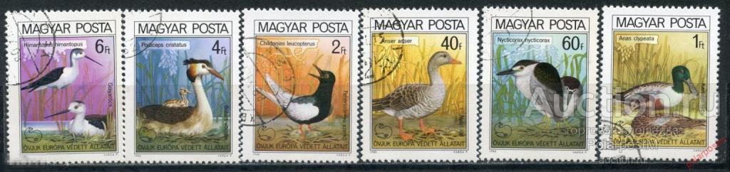 L55 ВЕНГРИЯ 1980 3451-3457 Птицы - Европейская кампания по охране природы
