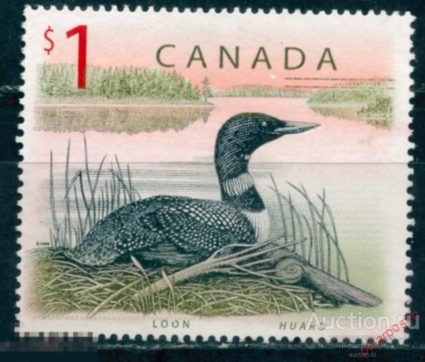 КАНАДА 1998 1715 Птицы. Gavia immer (без клея)
