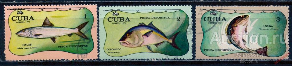 R20 КУБА 1971 1721-1723 Спортивная рыбалка. Рыбы. Фауна.
