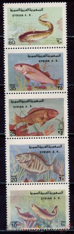 Н15 СИРИЯ 1978 1403-1407 Рыбы. Фауна