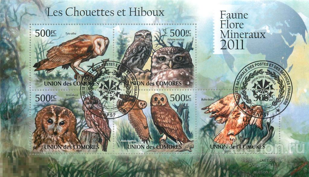 Коморские острова 2011 KU004 Хищные птицы. Совы