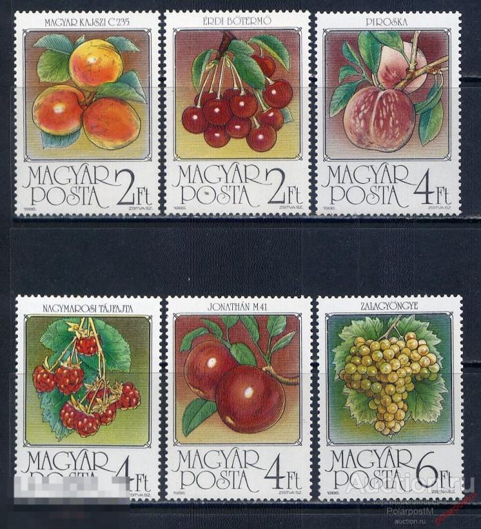 R20 ВЕНГРИЯ 1986 3848-3853 ФЛОРА. ФРУКТЫ