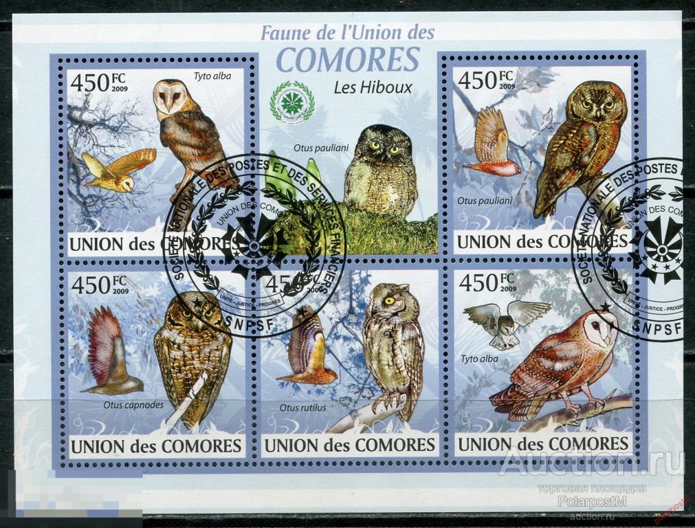 Коморские острова 2009 KU075a Хищные Птицы - Совы
