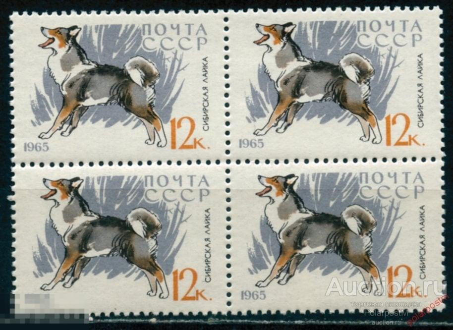 H15 СССР 1965 3081 (3171) Служебные и охотничьи собаки