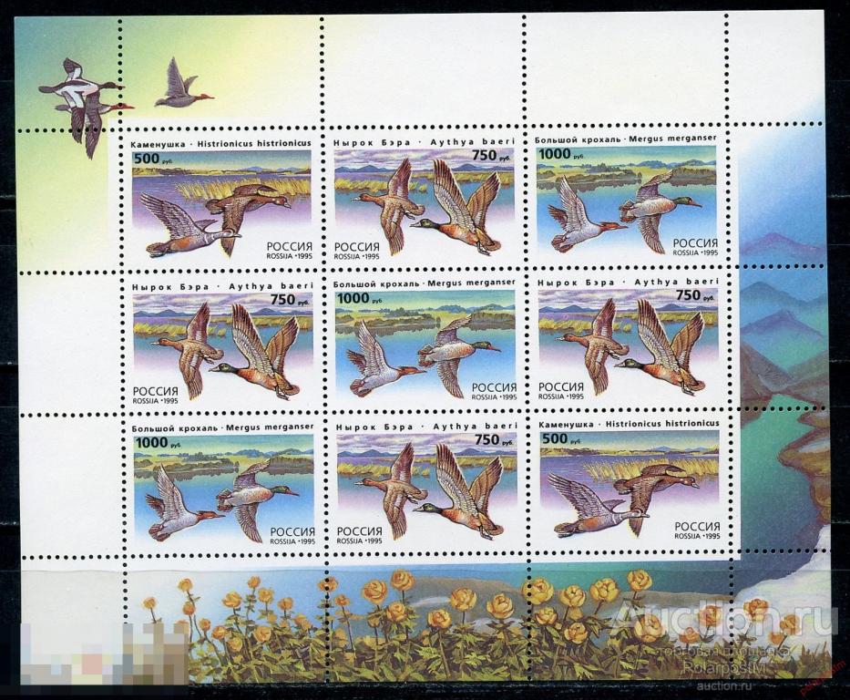 DG-16 РОССИЯ 1995 242-244 Утки. Птицы