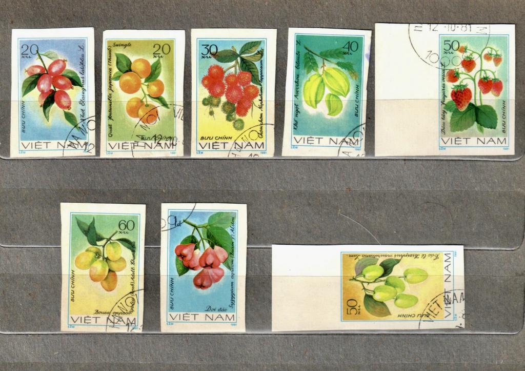 ВЬЕТНАМ 1981 год. MI № 1179U-1186U. Флора фрукты гашение беззубцовка СТО