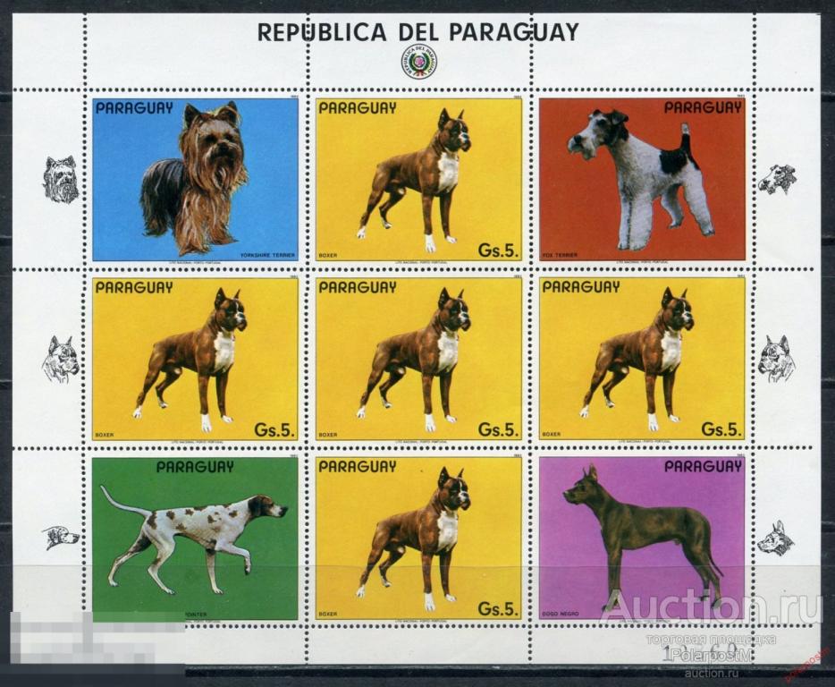 AM40 ПАРАГВАЙ 1984 3715 Собаки. Фауна