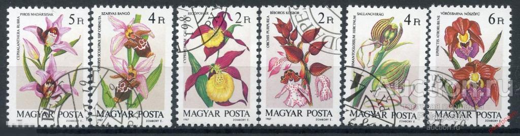 Y85 Венгрия 1987 3922-3927 Флора. Цветы. Орхидеи