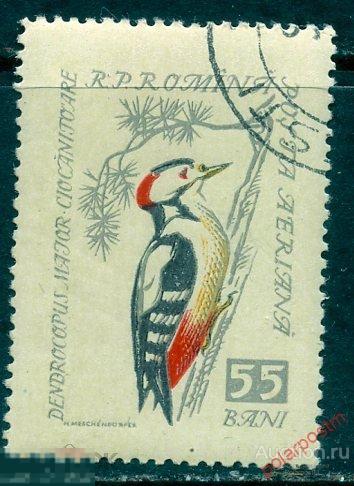 L55 РУМЫНИЯ 1959 1784 певчие птицы. Фауна