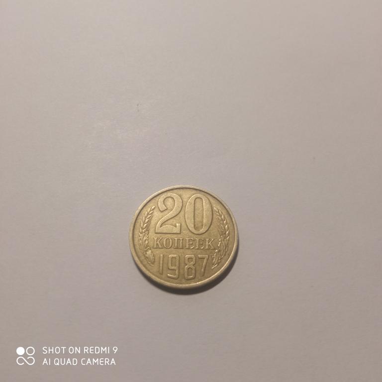 20 копеек 1987 года.   Хорошее состояние!