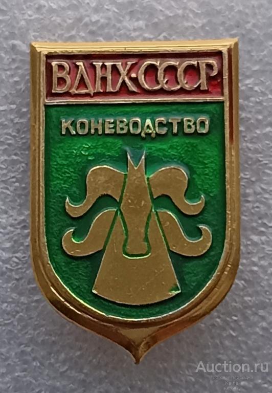 Москва ВДНХ СССР Коневодство Выставка достижений народного хозяйства лошадь конь яя495 / м