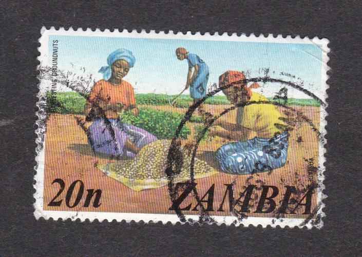 Замбия 1975 Сбор урожая (1852)