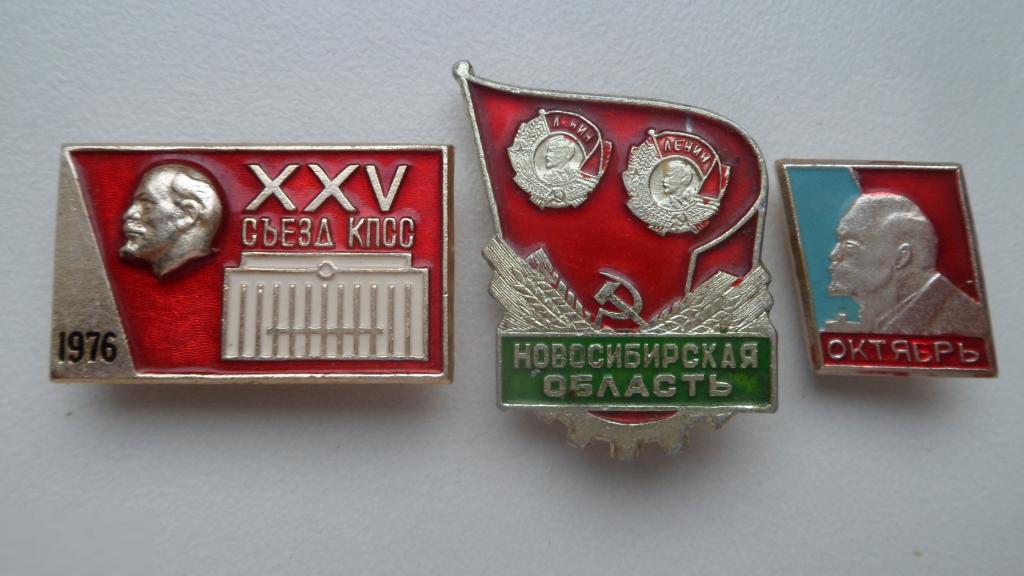 Значок 19 Ленин 25 XXV съезд КПСС Новосибирская область Орден Ленина Октябрь