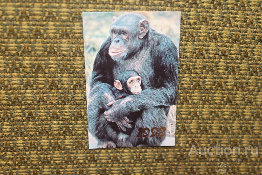 Календарь карманный 1992 г. Шимпанзе обезьяна фауна