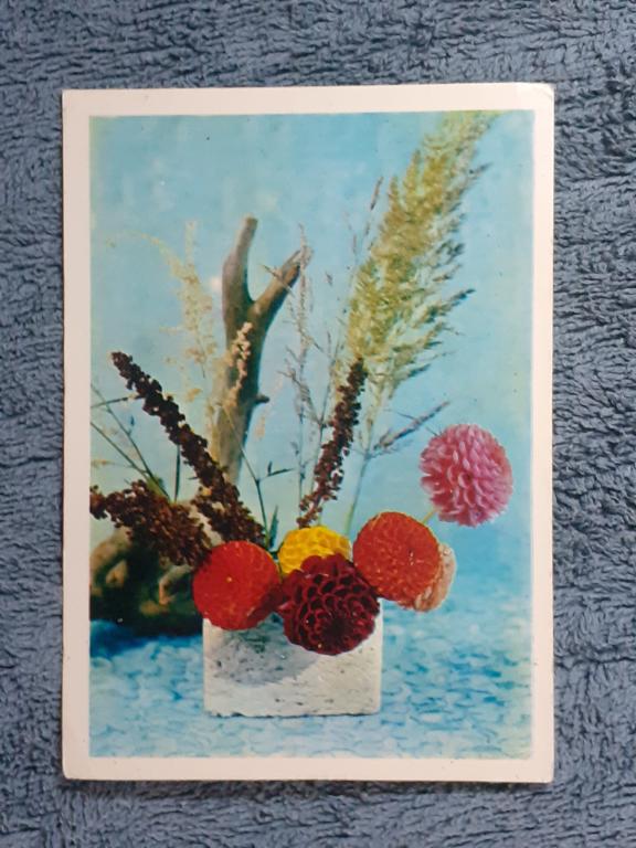 Открытка   Композиция из цветов. Манцурова, Цесарский 1975 год  чистая