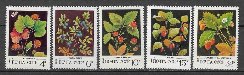 СССР 1982 г.  Ягоды Растения Флора **