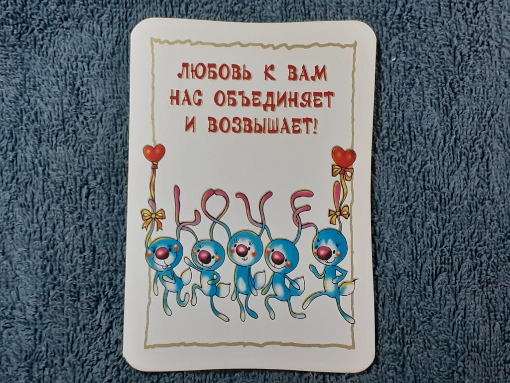 Открытка Сувенир. Двойная. Риапони чистая 10х14