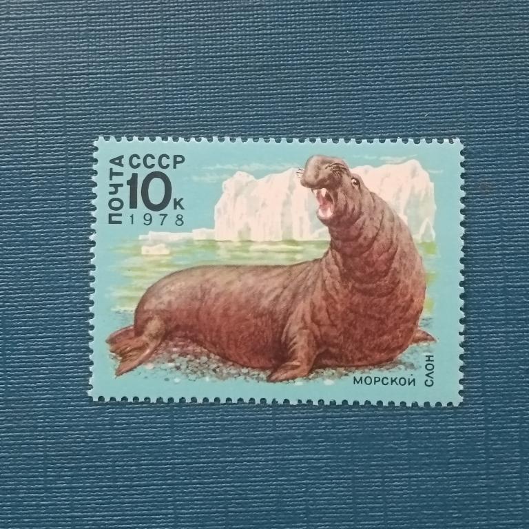Марки СССР 1978 год фауна  альбом 1 лист 7