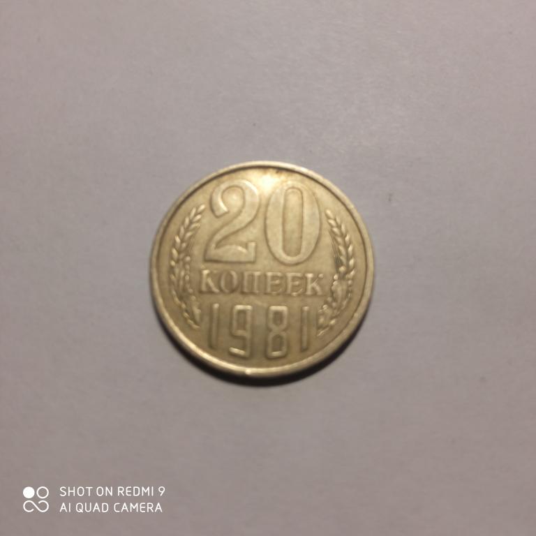 20 копеек 1981 года. Хорошее состояние!