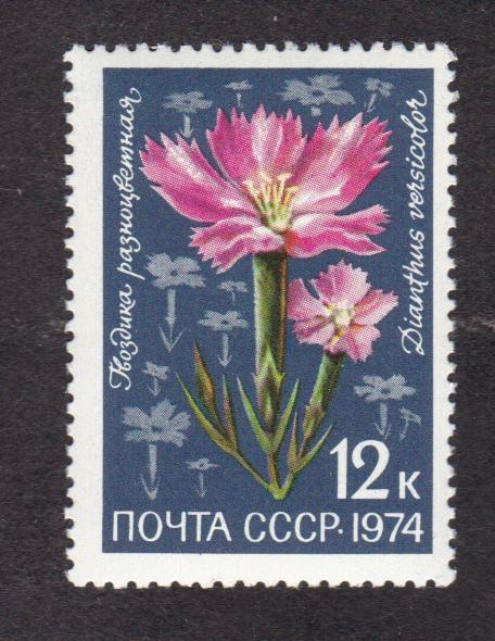 СССР 1974 Флора Цветы альпийских лугов (1920)