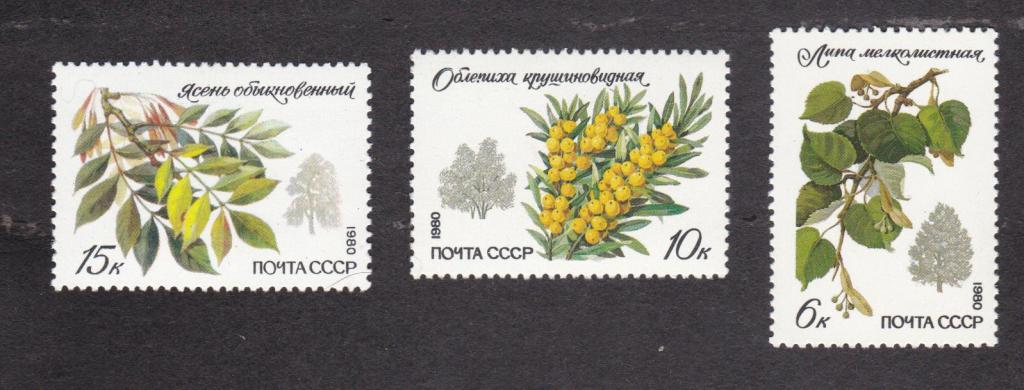 СССР 1980 Флора Охраняемые породы деревьев (1919)