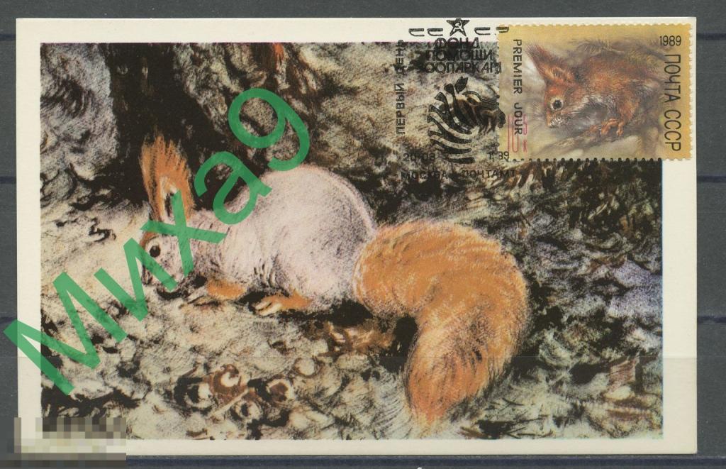 1989 КМ-1522 Фауна Белка Исаков СГ Москва