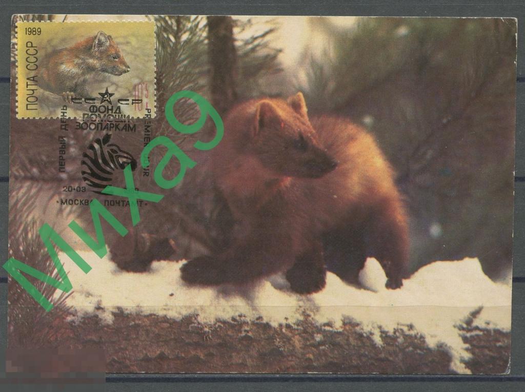 1989 КМ-1521 Фауна Куница Исаков СГ Москва