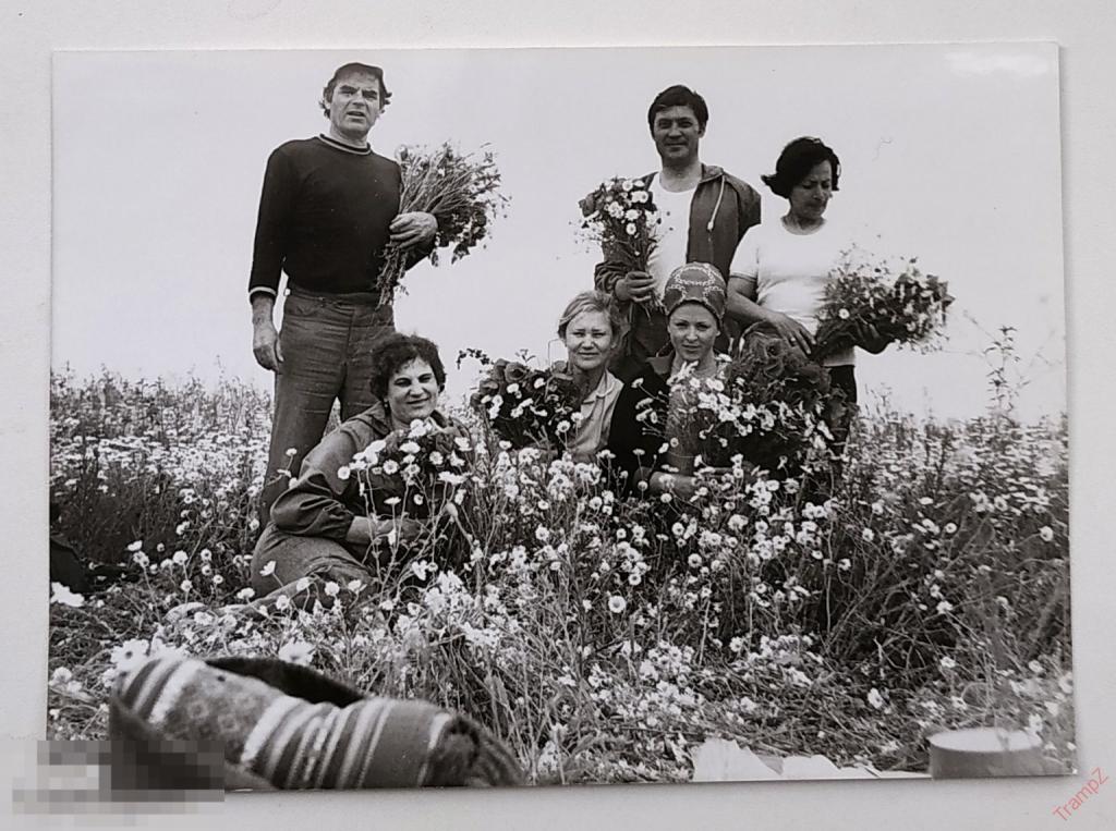 Фотография советские люди, отдых туризм мужчины женщины, ромашковое поле цветы #128