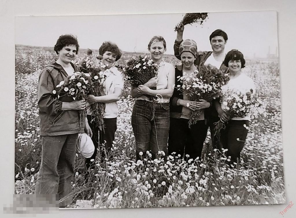Фотография советские люди, туризм мужчины женщины, ромашковое поле, цветы букет ромашки маки #128