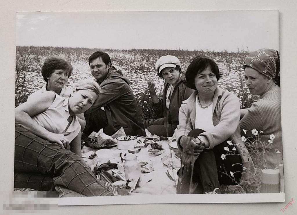 Фотография советские люди, отдых туризм пикник мужчины женщины, ромашковое поле #128