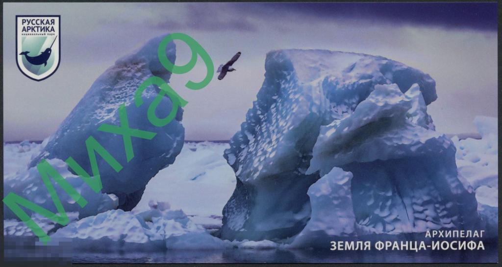 2023 ДМПК Архипелаг Земля Франца-Иосифа Национальный парк Русская Арктика Фауна