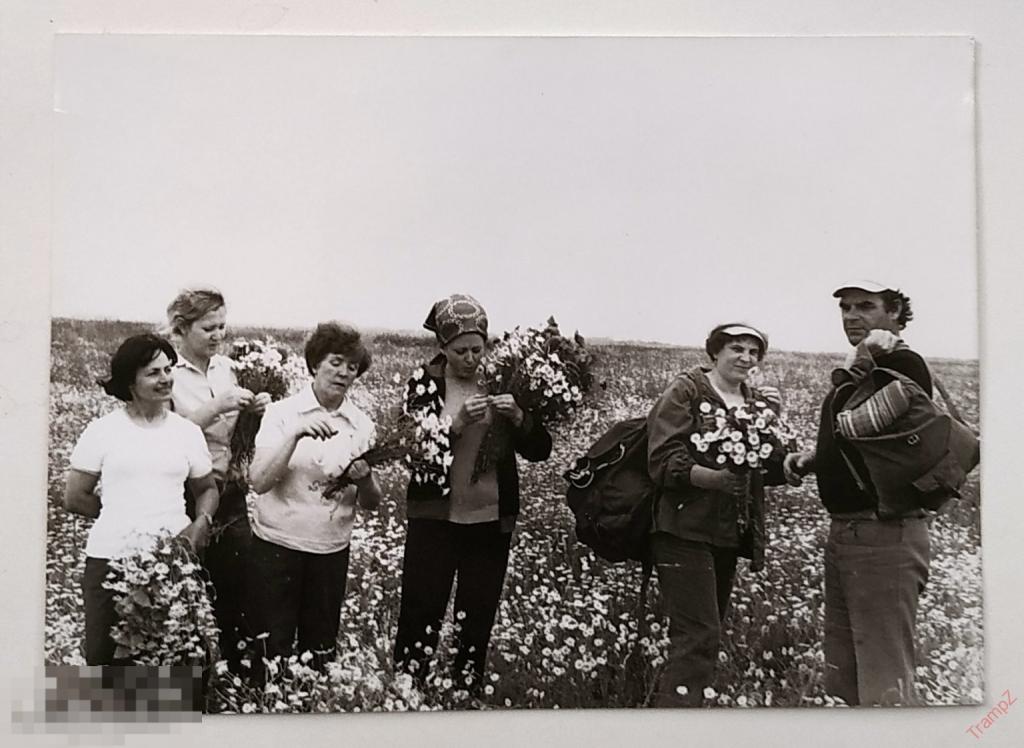 Фотография советские люди, туризм мужчины женщины, ромашковое поле, цветы букет ромашки маки #128