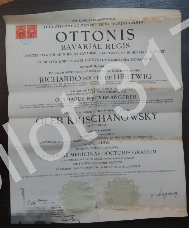 Диплом русского врача.Университет Бавария.1910г. Медицина.