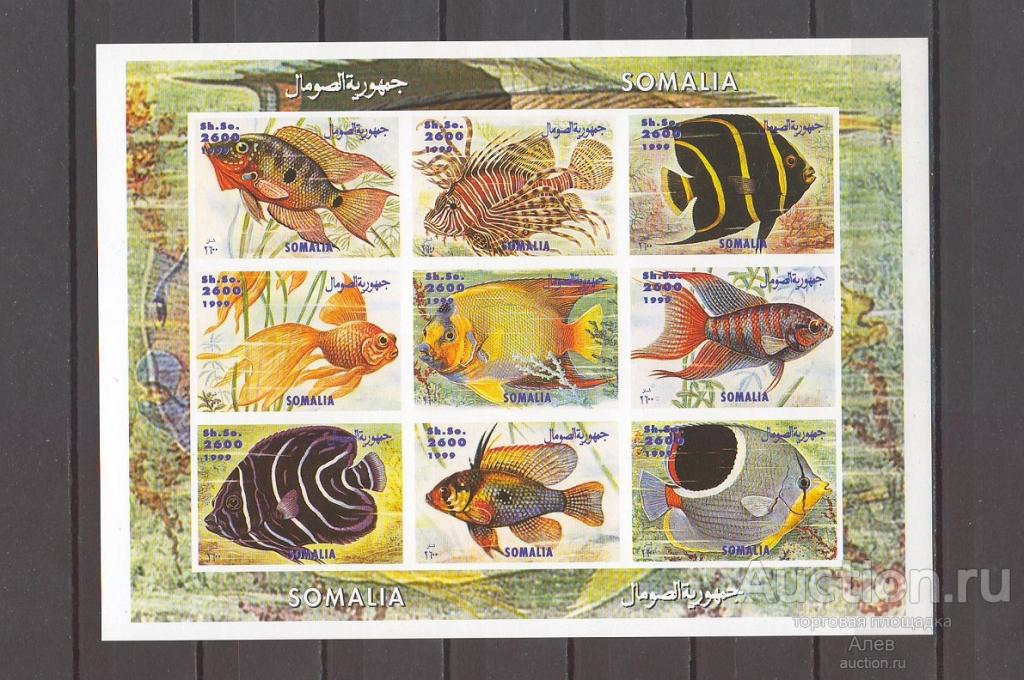 СОМАЛИ 1999, ПОДВОДНЫЙ МИР, РЫБЫ, ФАУНА, ИХТИОЛОГИЯ, ЛИСТ Б/З MNH