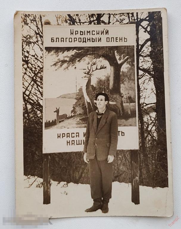 Фотография мужчина, Крым. щит крымский благородный олень #133*