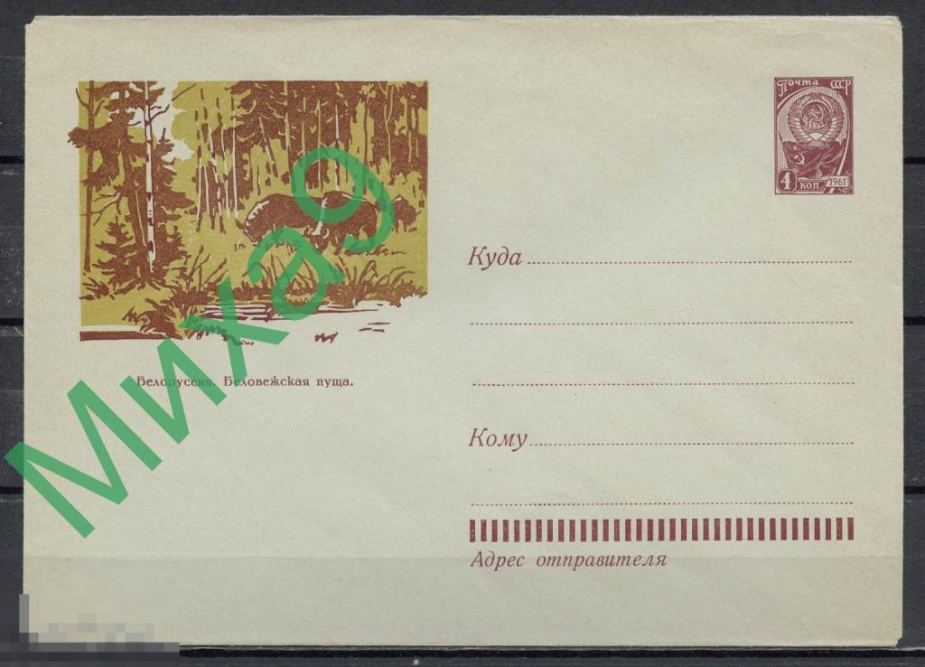 1961 ХМК 1777 Белоруссия Беловежская пуща Зубры Фауна Пейзаж Вьюев ВЗ-СК 