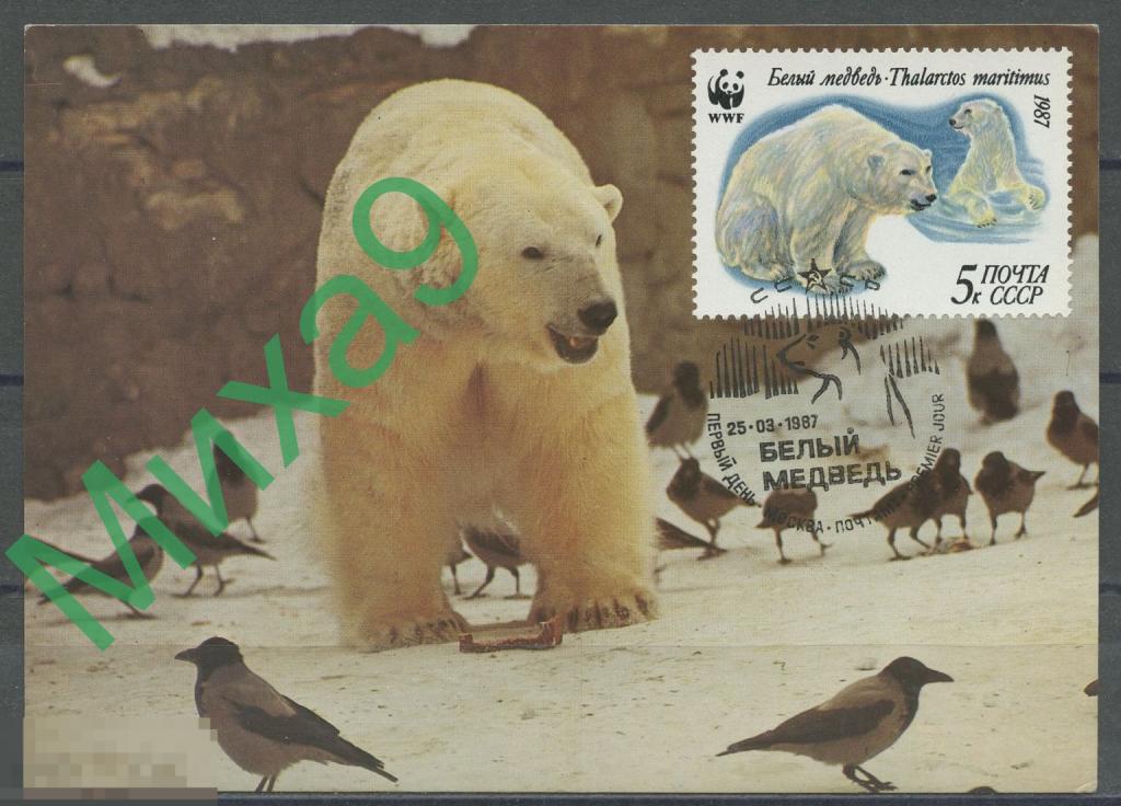 1987 КМ-5188 Белый медведь WWF Фауна СГ Москва