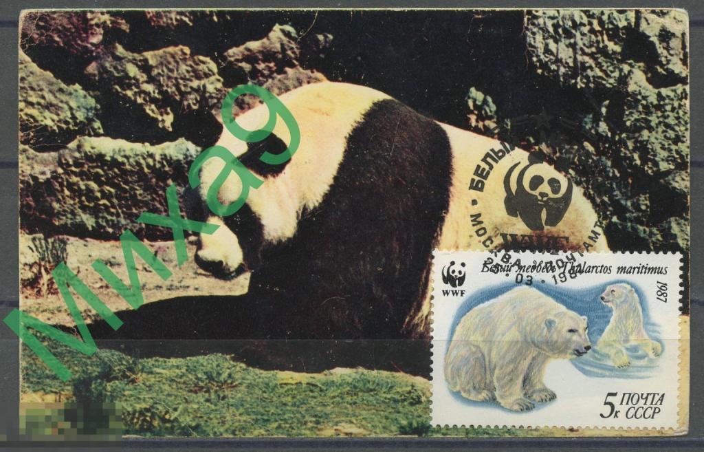 1987 КМ-1518 Фауна Московский зоопарк Панда Белый медведь СГ Москва