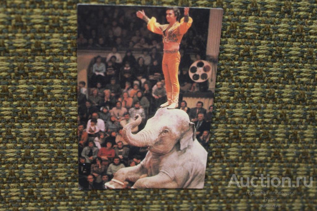 карманный календарик 1982 Сарват Бегбуди слон фауна