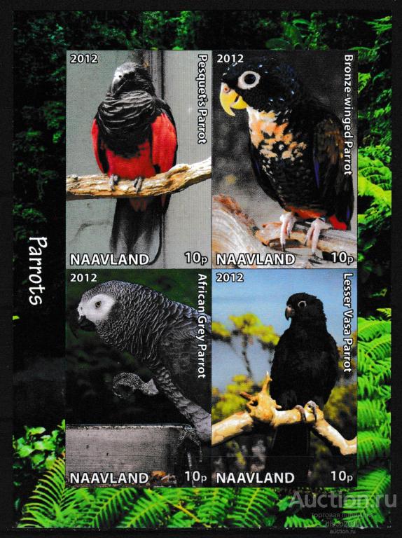 Naavland 2012 Попугаи Серый или Жако Птицы Фауна MNH