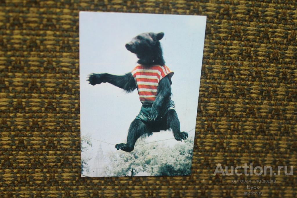 КК карманный календарик 1986 Цирк медведь дрессировка