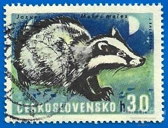 Чехословакия 1966 MiNr 1661. Животные. Барсук (1/7) (0.3 € | $ 0.25) CTO