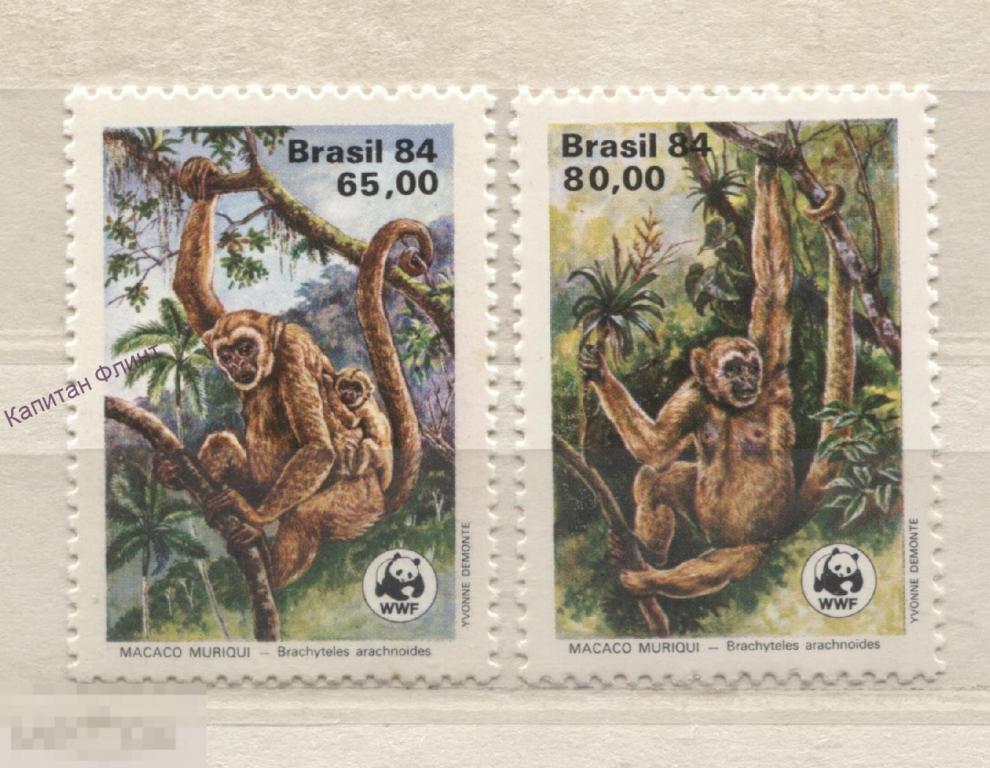Бразилия. Обезьяна макака. WWF.  Mi/ 2052-2053. 1984 г. (8)