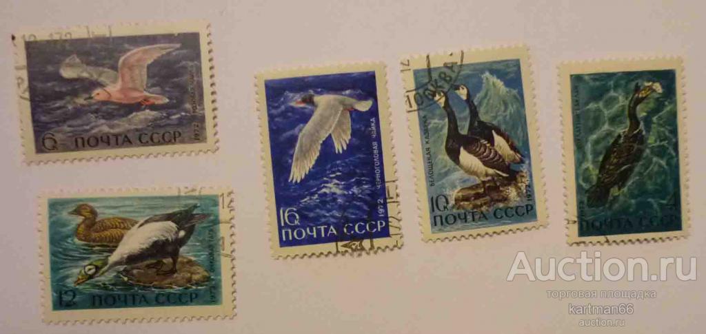 МАРКИ  СССР  МОРСКИЕ ПТИЦЫ    5 ШТ   1972 Г